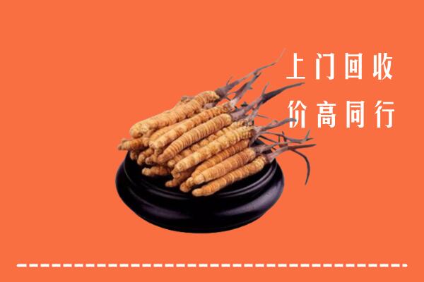 高价求购：鼎湖区回收散虫草