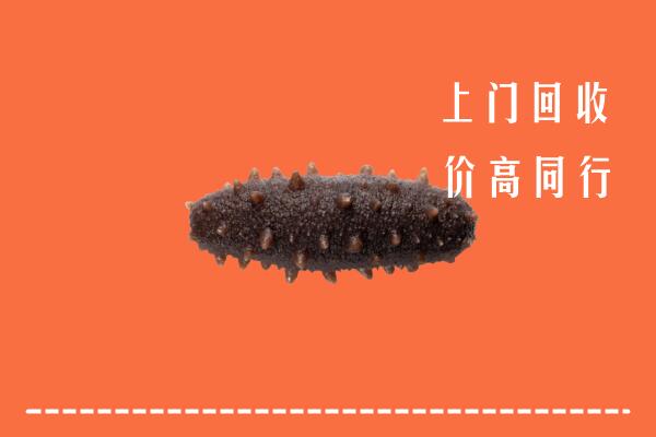 高价求购：鼎湖区回收海参