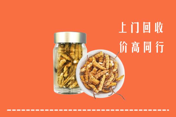 鼎湖区回收冬虫夏草